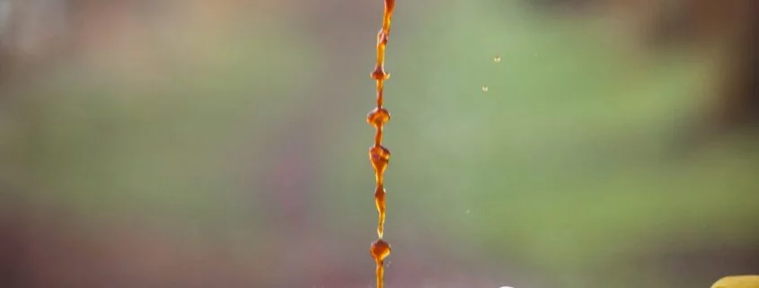 How to Tell If a Pokemon Is Shiny?