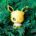 Eevee Evolution Pokemon Go Nicknames