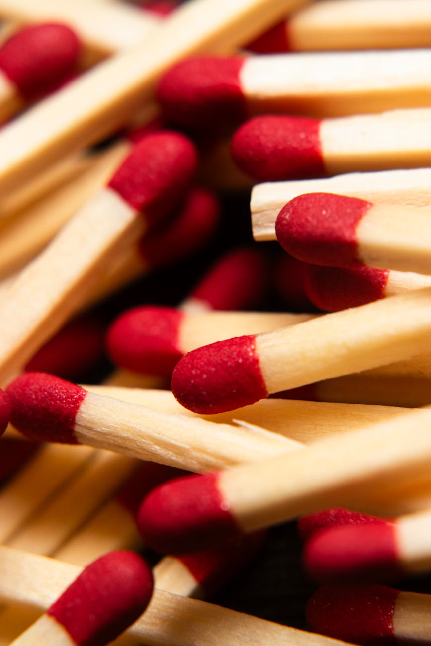 Illustration of Best Starter: Discover the Stunning Pokopia Starters to Choose!